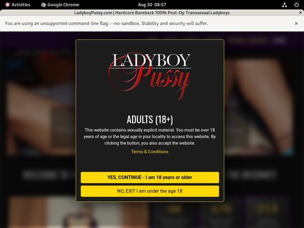 Ladyboy Pussy Free Account