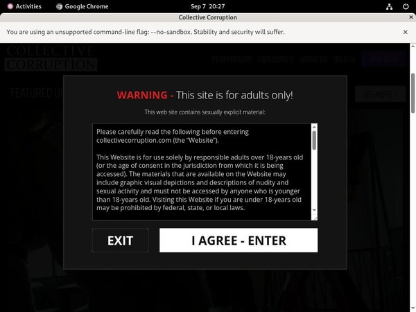 Collectivecorruption.com Pass Premium