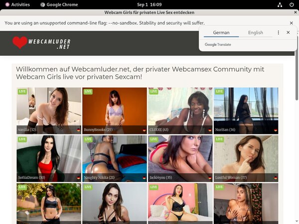 Subscribe To WebCam Luder