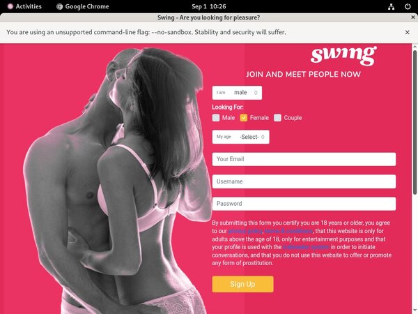 Swing Full Discount