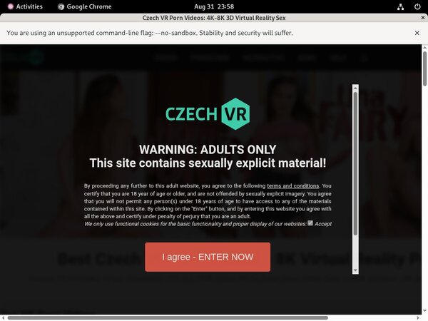 Accounts Of Czechvr