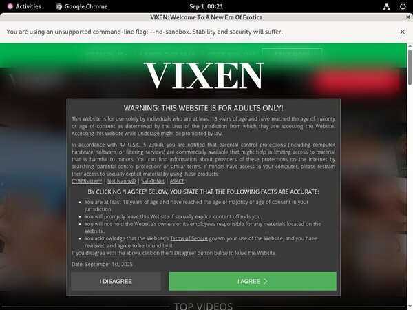 Free Vixen Login And Pass