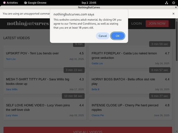 New Nothingbutcurves.com